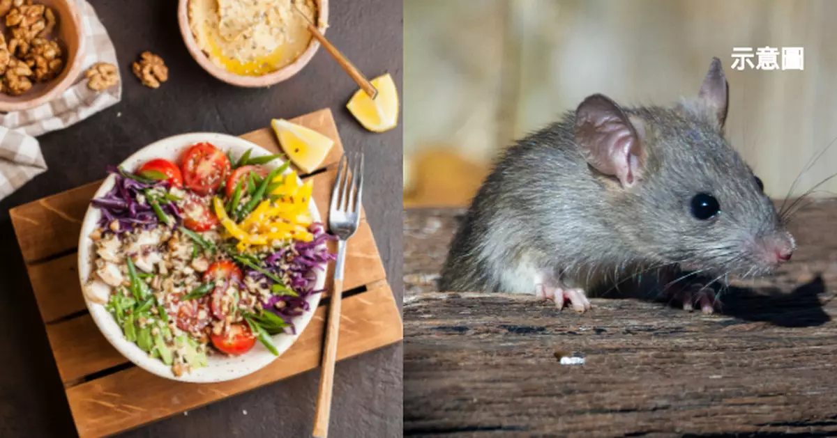 鼠屍羅生門！紐約女投訴沙律出現死老鼠 韓餐廳監控證清白