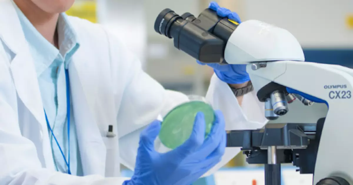 減醫務化驗師學生臨牀實習時數 管委會﹕加強基本範疇學習做法非倉促