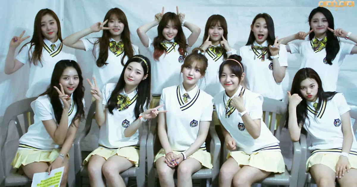 限定女團I.O.I有望十週年全員回歸 成員們表達出重組意願