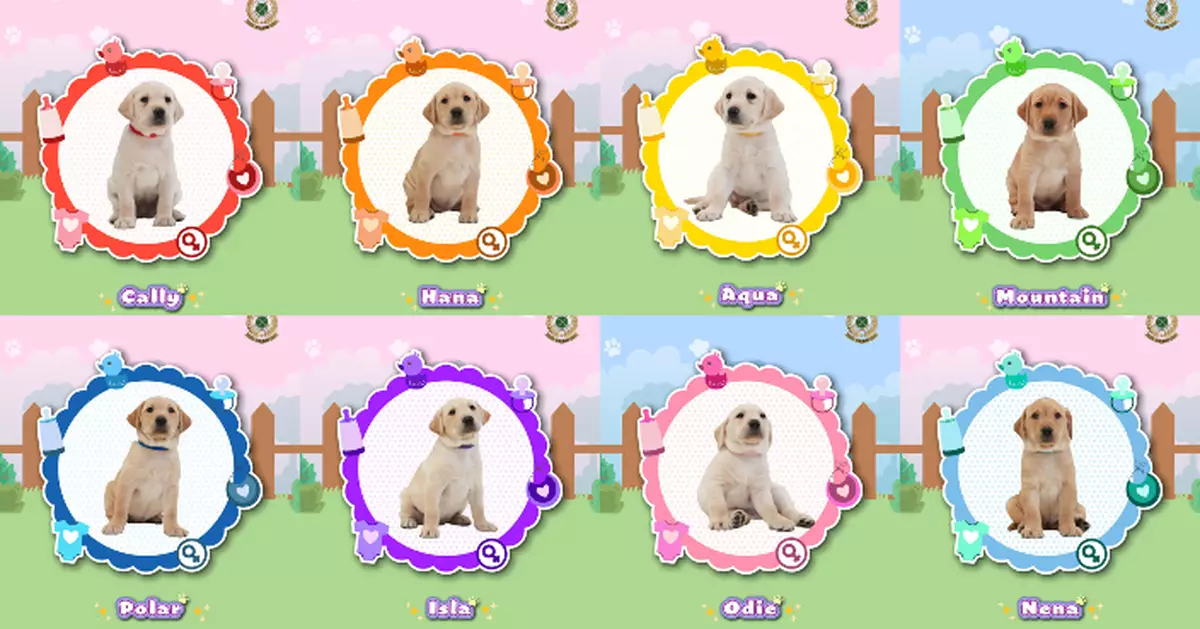 海關搜查犬BB命名大賽結果出爐  八胞胎「冠軍」名字閃亮登場