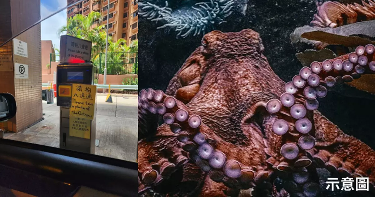 荔枝角停車場「請拍八達通」咁翻譯？ 網民笑爆：香港英文水平跌穿地心