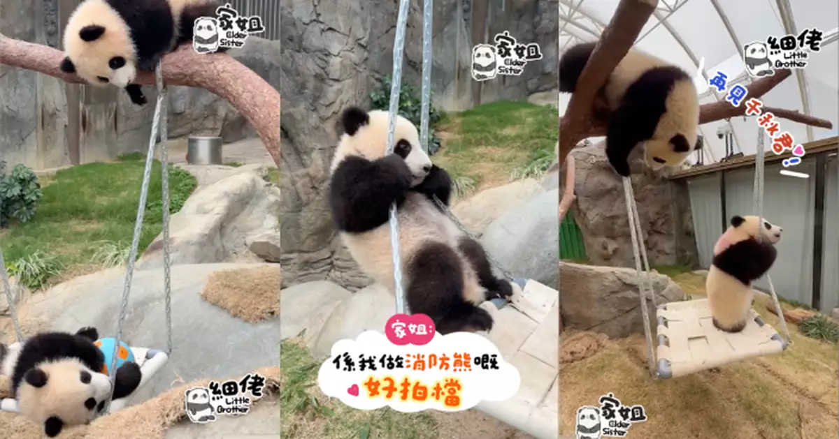 再見千秋君！ 「家姐細佬」童年回憶韆鞦提前「被」退役