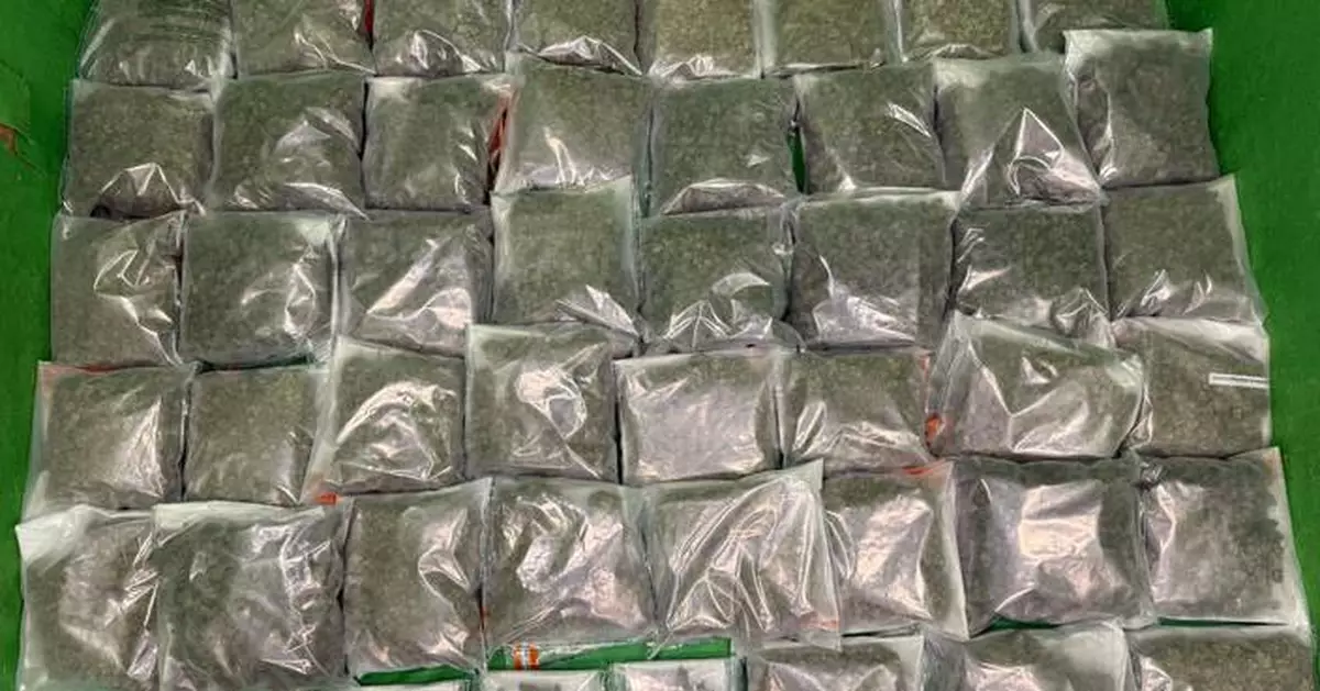 海關機場截查49歲泰國抵港男旅客 檢值540萬懷疑大麻花