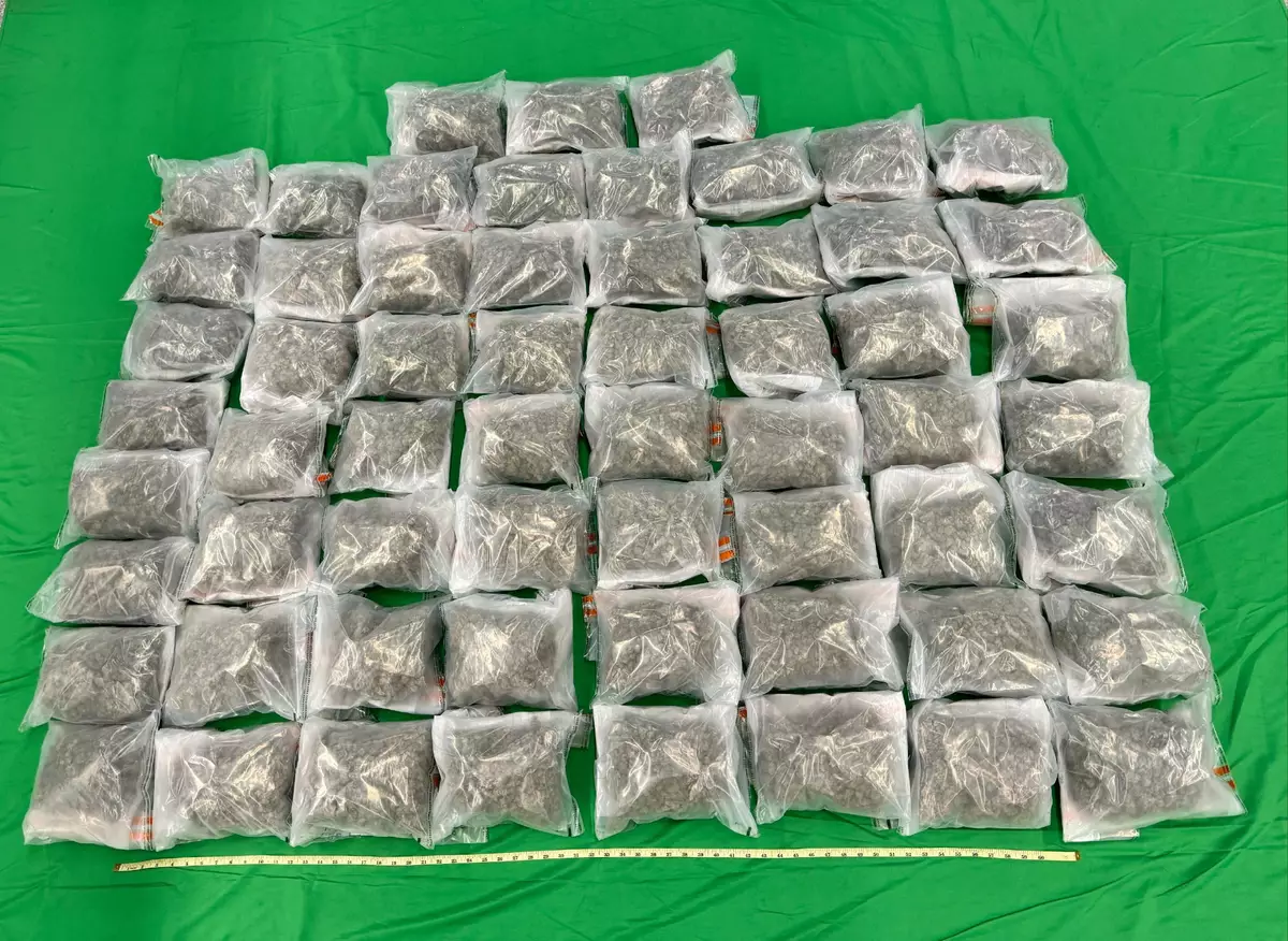 香港海關於機場檢獲約六百九十萬元懷疑大麻花。政府新聞處圖片