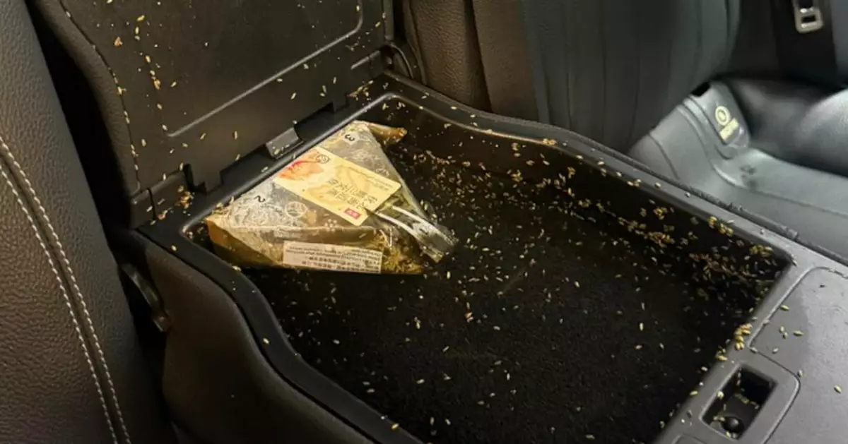 ​​有圖慎入！私家車手枕藏1物釀「蛆蟲災難」嚇壞網民​​！引殯儀人員分享除蟲心得