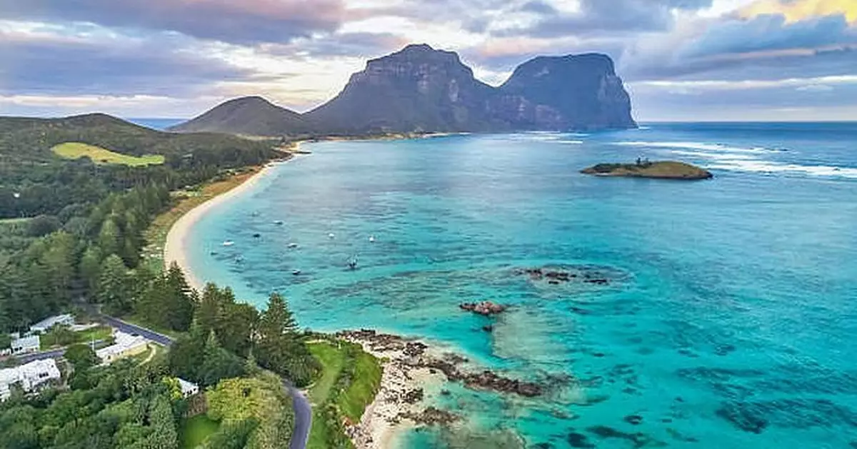 澳洲「地球最乾淨小島」不再！ 島上海鳥腹部藏778片塑膠垃圾