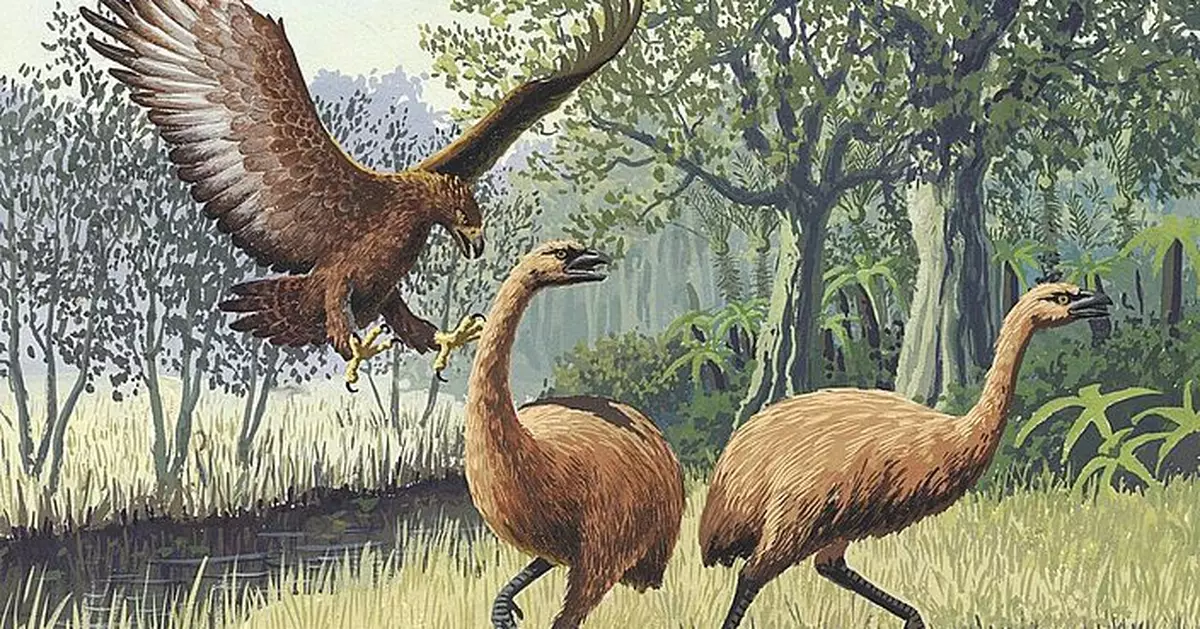 史上最大猛禽巨無霸「鵰王」 頂級掠食者一爪致命專獵巨型「恐鳥」卻因「牠」滅絕