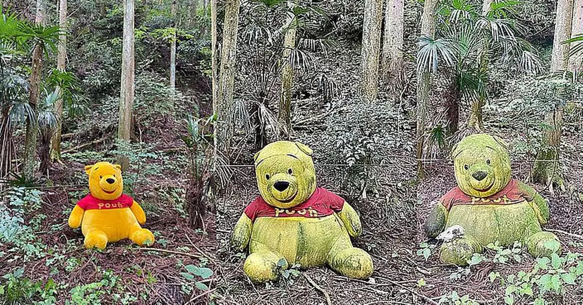維尼公仔放野外自然腐化 日人做環保實驗5年後狀況驚人