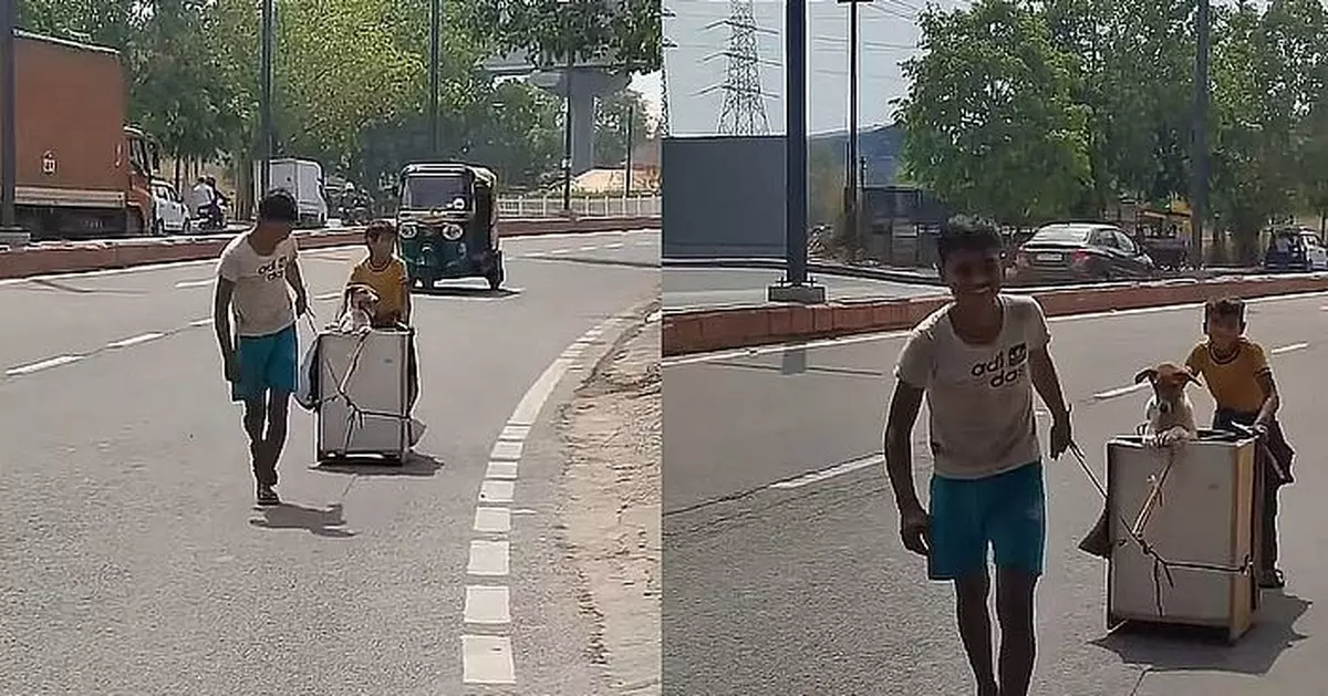印度兩男童冒酷暑以自製手推車送受傷愛犬就醫  愛心觸動眾網民