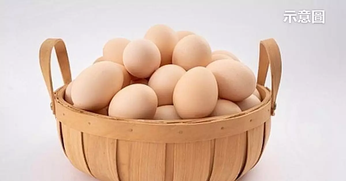 法國人10年狂食近20億隻蛋！雞蛋促銷委員會豪擲700萬為雞蓋豪宅