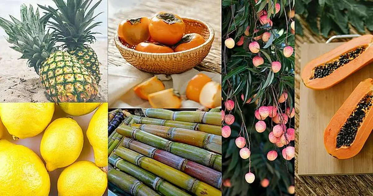 以為健康實則傷胃 台灣營養師揭6水果空腹食恐致胃痛胃酸倒流