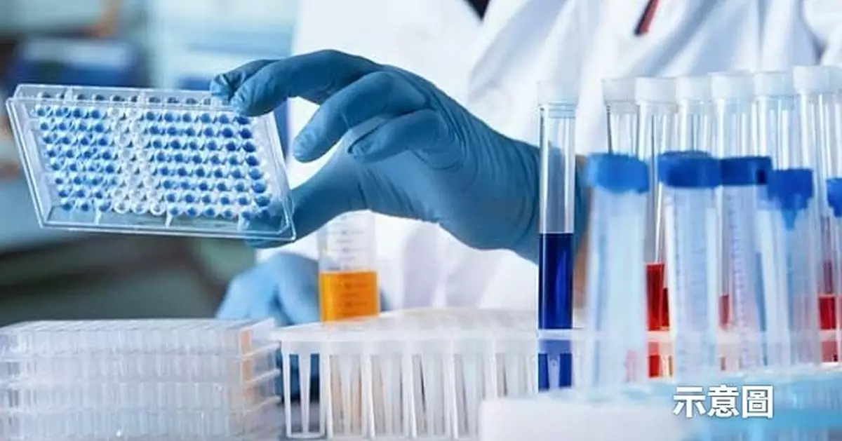 丹麥文物患上「霉菌流行病」 或為全球性隱患