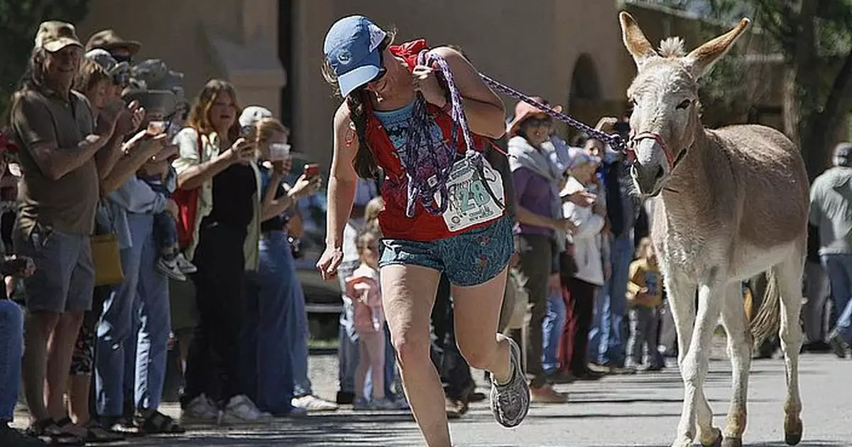 新墨西哥州辦「牽驢賽跑」 紀念昔日西部礦工與「工作伙伴」辛酸史