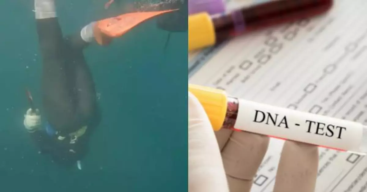 心跳慢耐寒血壓低 「海女」日潜水逾5小時具3生理特徵異於常人 研究揭基因或進化