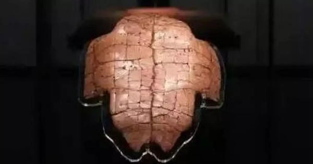 王子都要乖乖請假！3千年前甲骨文「請假單」出土 網笑：要神明批准太難了