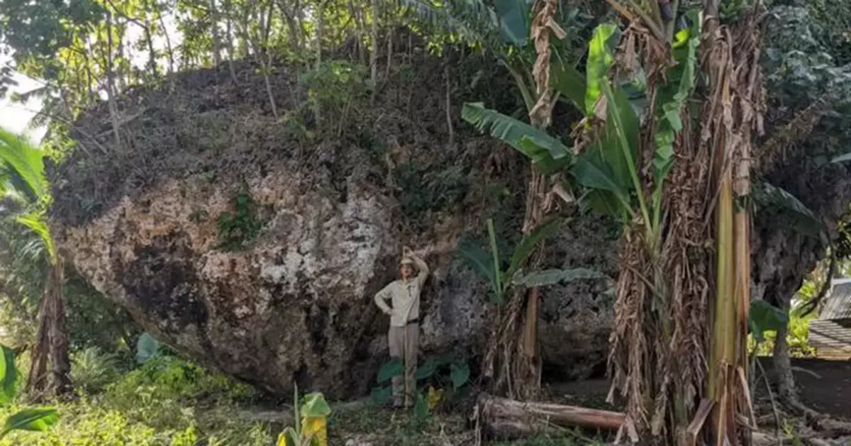 50米巨浪1分半搬動千噸巨石！全球最大懸崖巨石現身湯加 科學家揭成因