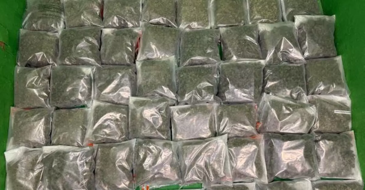 海關於機場檢獲約25公斤懷疑大麻花　市值約540萬元
