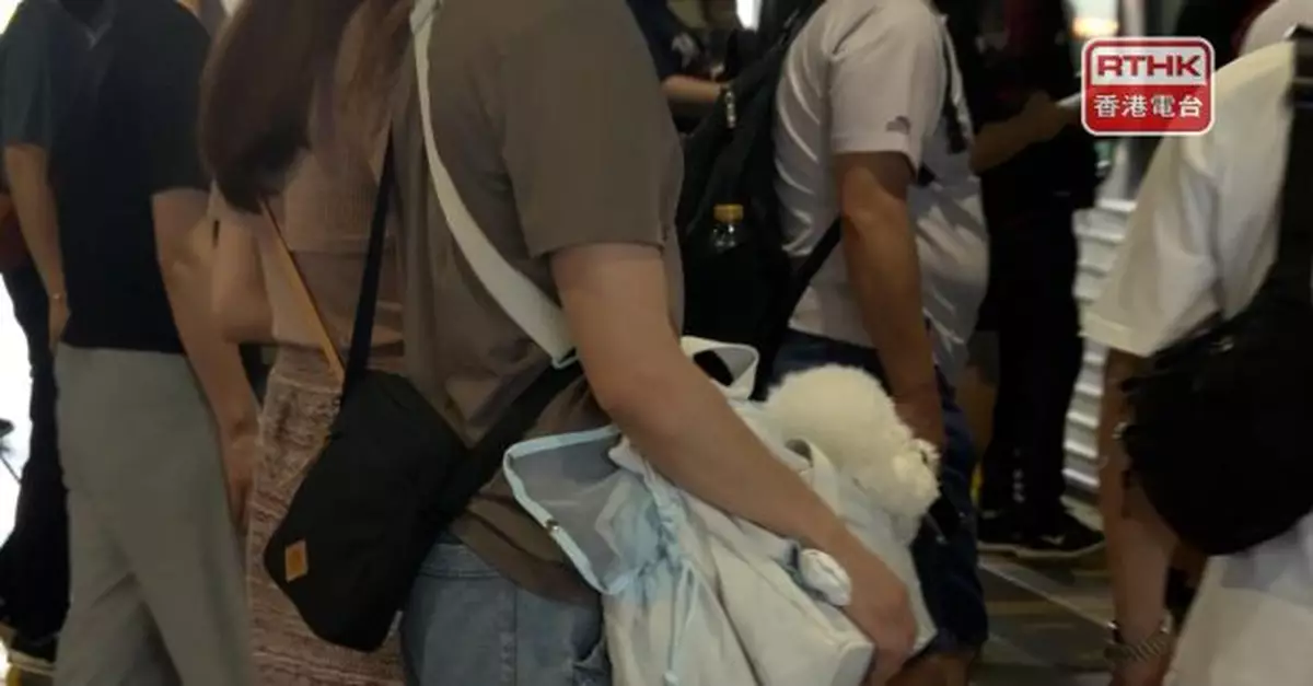 輕鐵「貓狗同行」首日試行　港鐵指有需要時或延長試行計劃