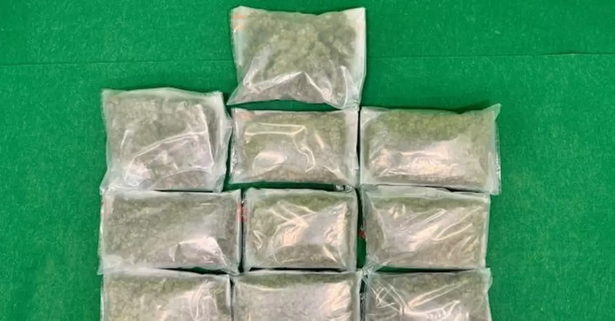 海關機場偵破兩宗毒品案件　檢獲約1100萬元懷疑毒品