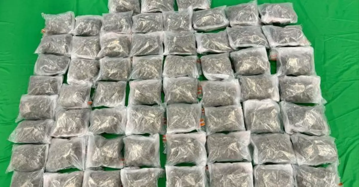 寄艙行李涉藏約690萬元大麻花　加拿大抵港女旅客被捕明提堂