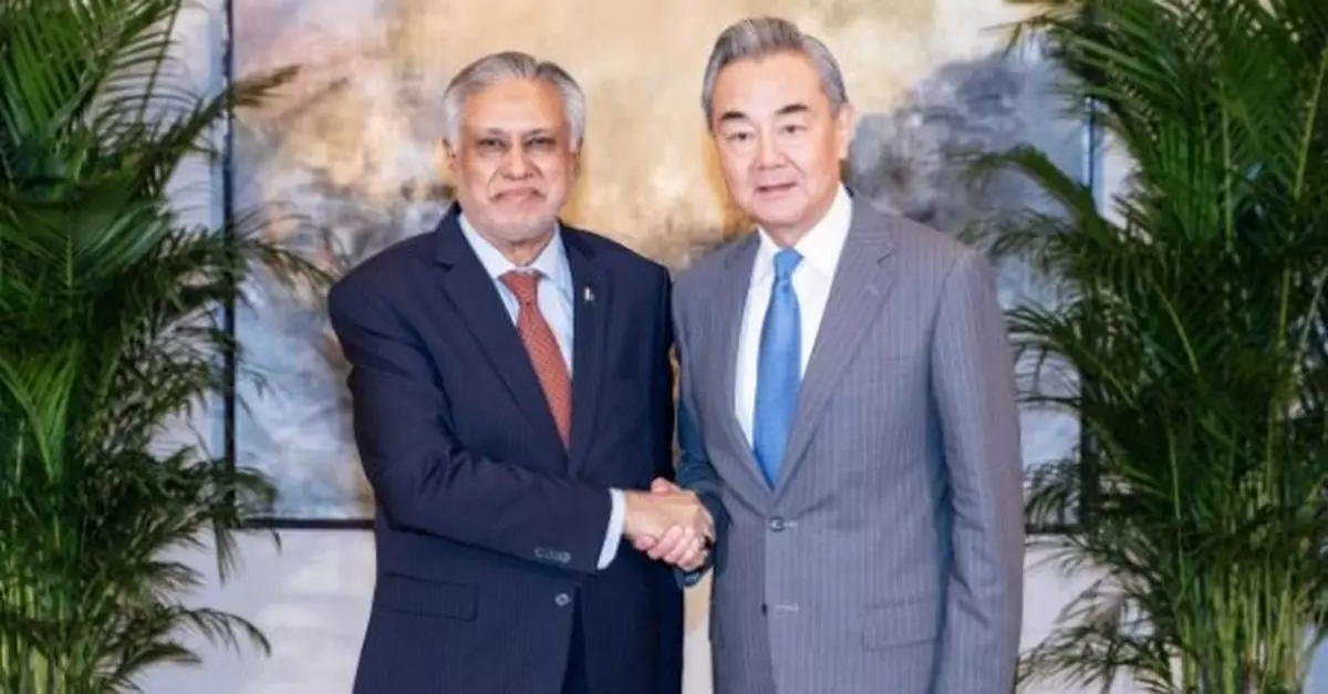 王毅晤多國政府代表　稱調解有利發展中國家更好維護正當利益