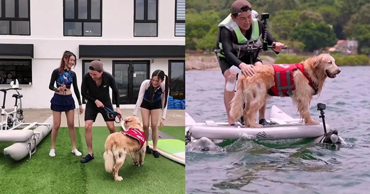 洪永城帶愛犬出海一舉動勁暖男！開心分享愛犬有趣轉折的「尋親」故事