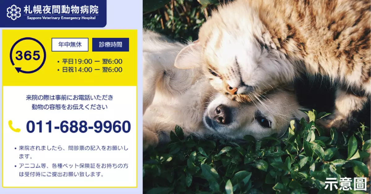 北海道夜間動物醫院 18位獸醫全年無休守護毛孩