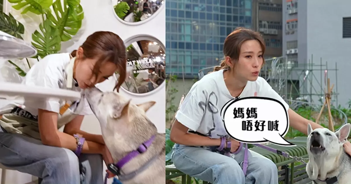 曾因被愛犬咬傷面停工半年！姚子羚忍淚分享如何克服陰影：我學識咗原來陪伴係非常重要