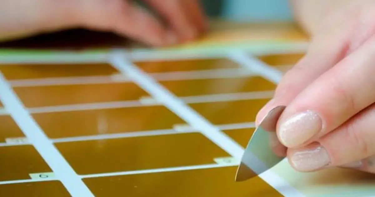 聽哥建議買彩票試手氣 美漢幸運贏79萬獎金難以置信