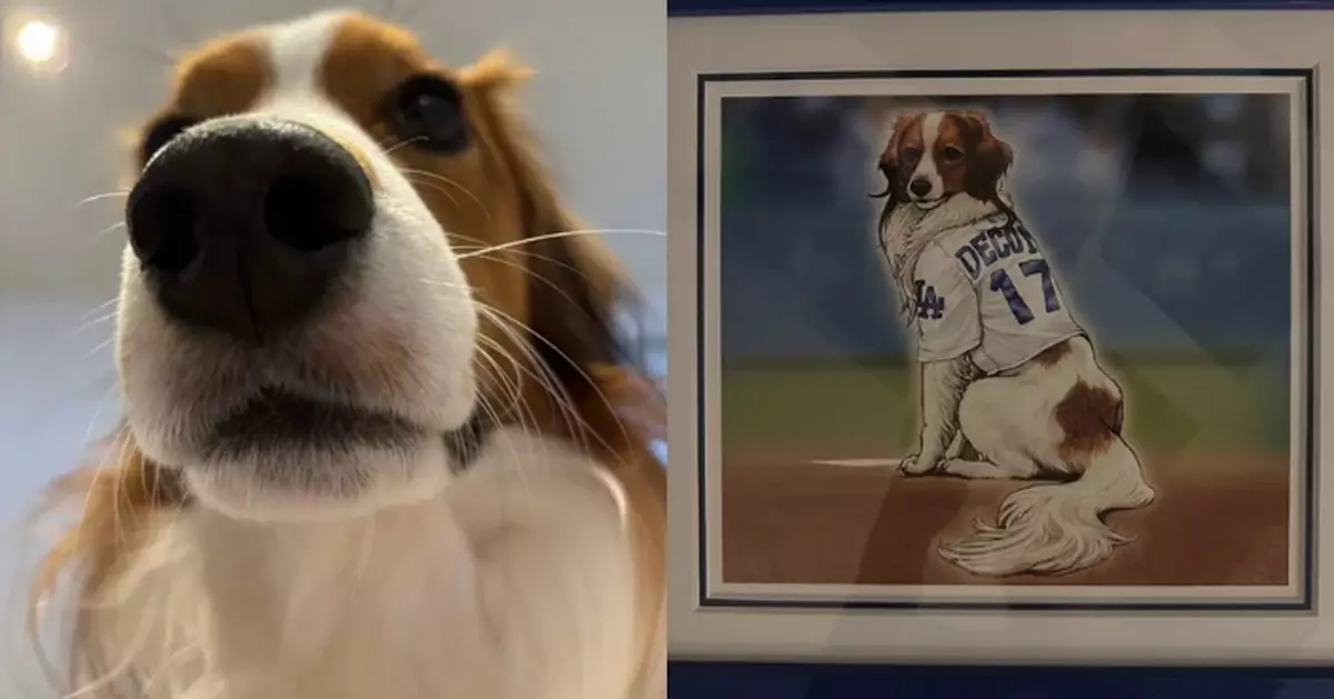 美球星大谷翔平曬特製愛犬《遊戲王》卡牌 破天荒聯名引熱議