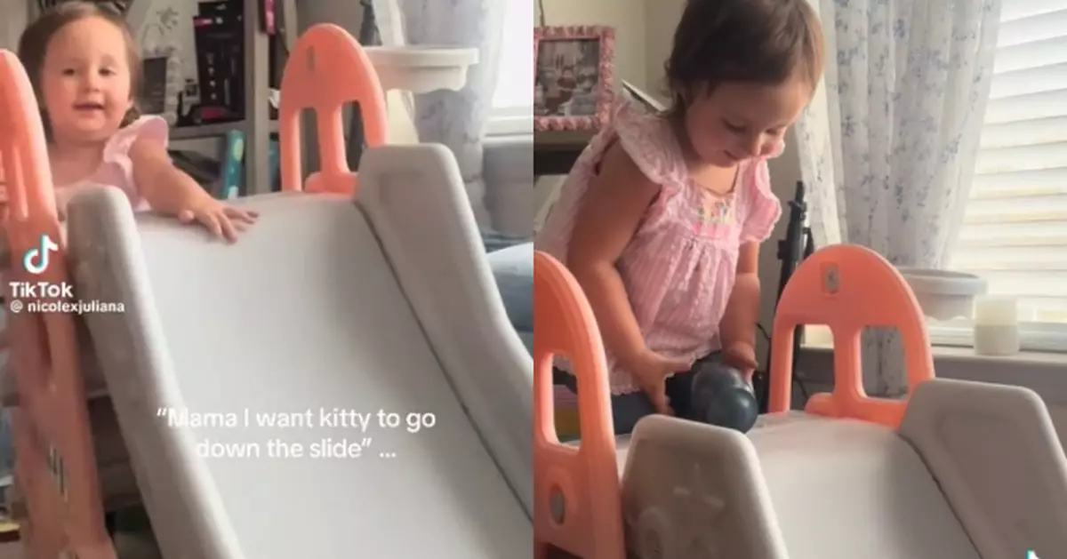 想同愛貓一齊玩 美2歲女童拿亡貓骨灰盒瀡滑梯 天真舉動背後藏催淚故事