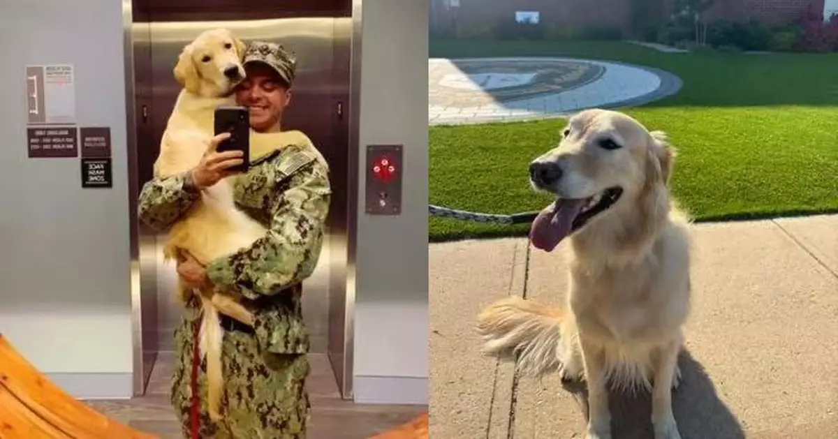 執行任務愛犬託親戚照顧竟被擅自送走 美軍人心碎發帖獲眾人齊力尋回