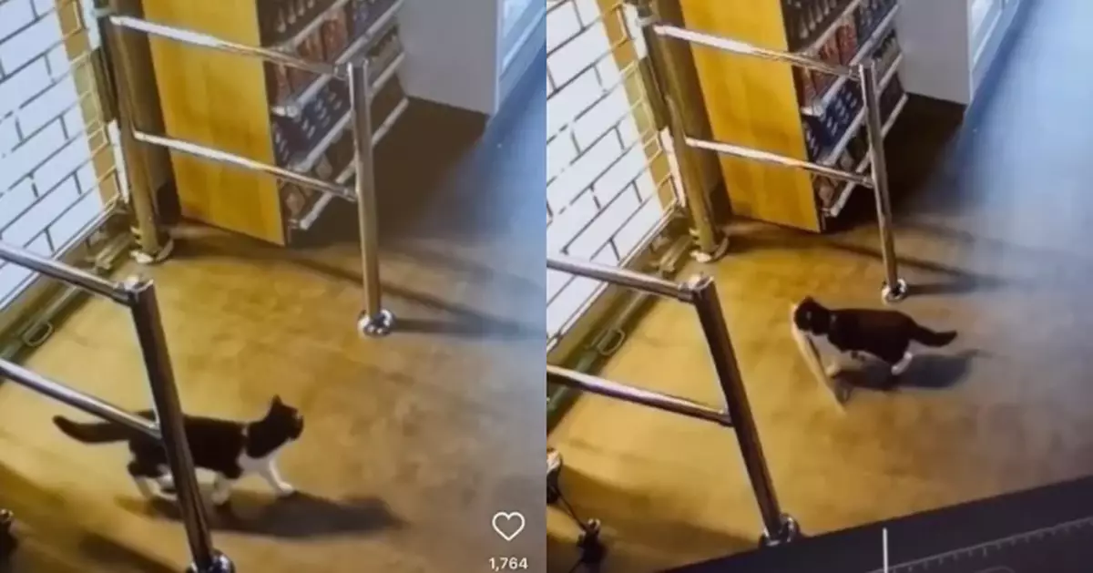 冰島超市高價魚乾頻失竊 店家查監控見「竊賊萌樣」不追究反贈禮？