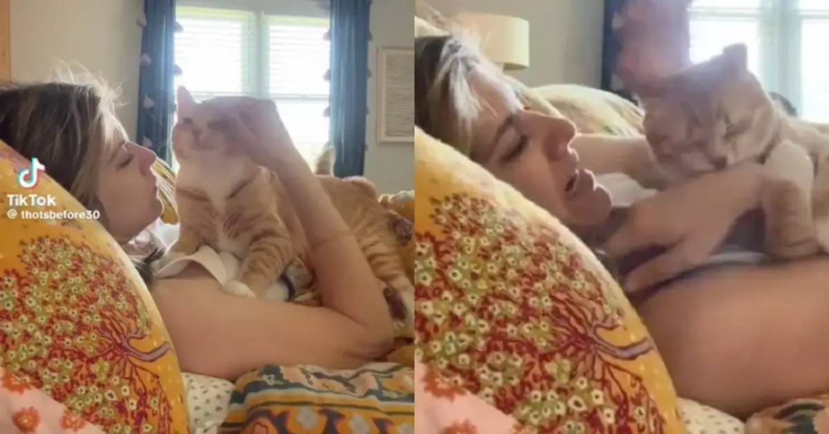 見飼主躺床主動撒嬌討摸 橘貓獲撫摸後秒變「惡魔」猛咬對方手臂