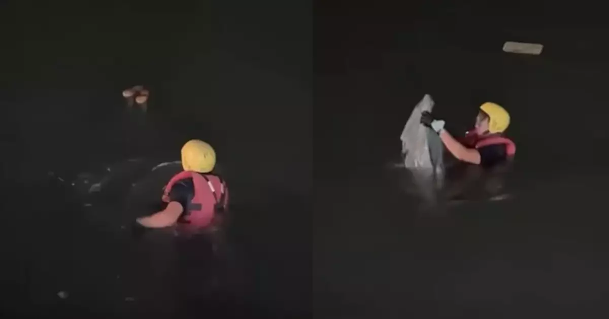 台民眾目擊青蛙裝「倒樹蔥」漂海面以為有人墮海報警 消防出動揭虛驚一場