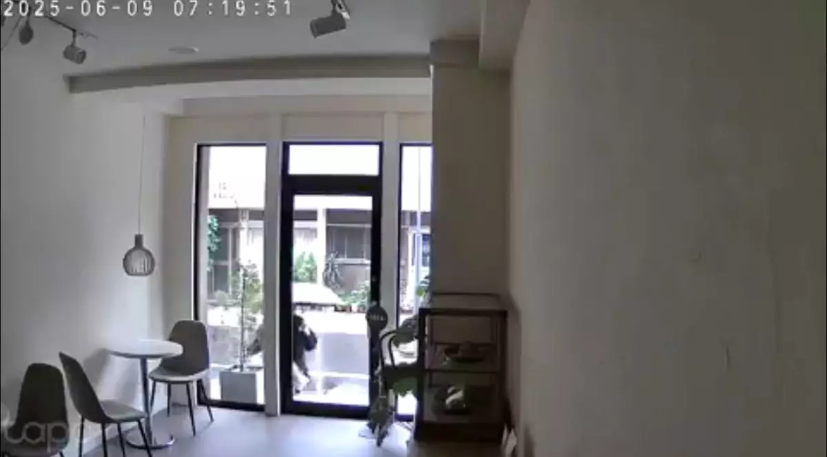 老婦疑往盆栽中撒鹽。影片截圖