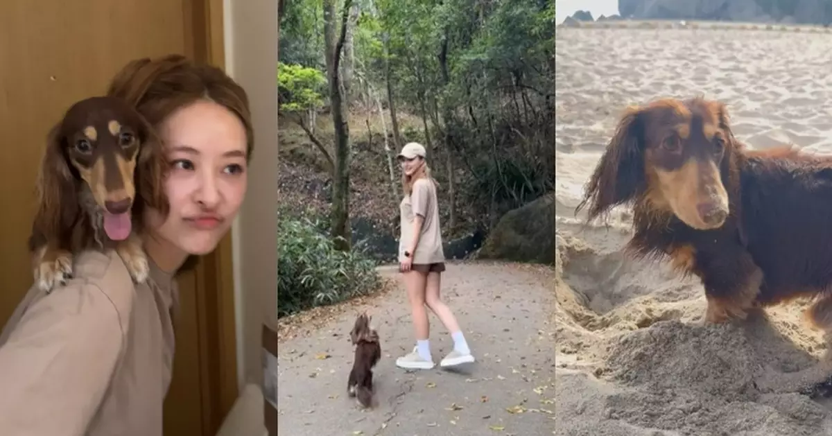 陳瀅分享5月點滴 陪愛犬上山下海又換新Look