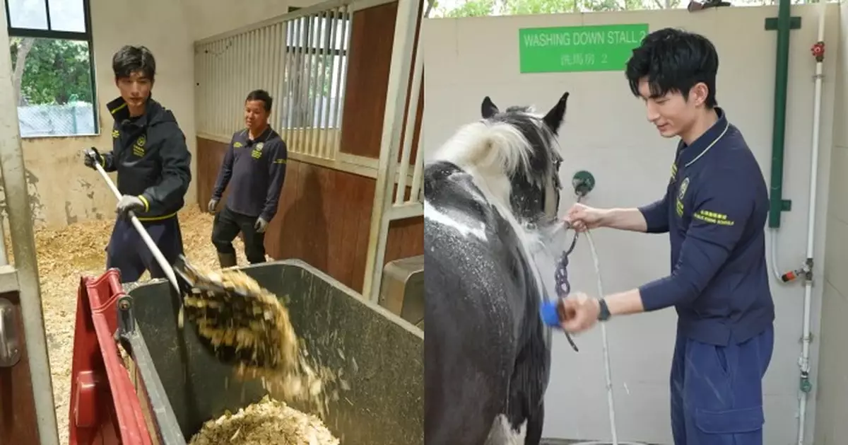 一日打工限定｜近距離接觸馬匹初體驗 Aska張馳豪清理馬糞親力親為