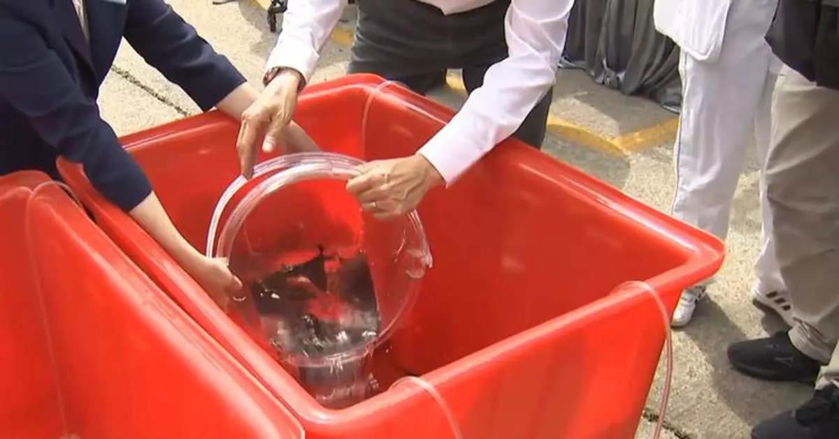 漁護署響應「全國放魚日」舉行增殖放流活動 投放逾兩萬條幼魚 　