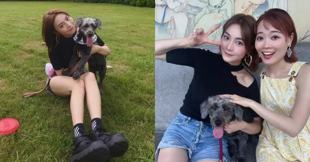 關嘉敏接受新城《寵愛您》訪問  救愛犬與母爭執 甘願一年遷居6次
