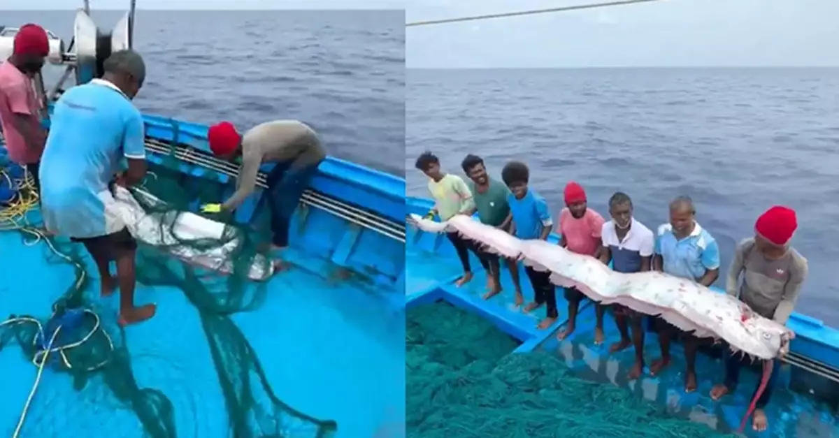 「末日魚」再現預示天災？印度漁民出海捕獲巨型「皇帶魚屍」