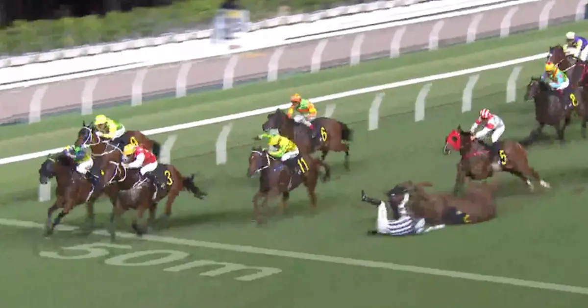 跑馬地賽馬第5場3騎師墮馬 賽馬「四季醒」嚴重骨裂未能救回