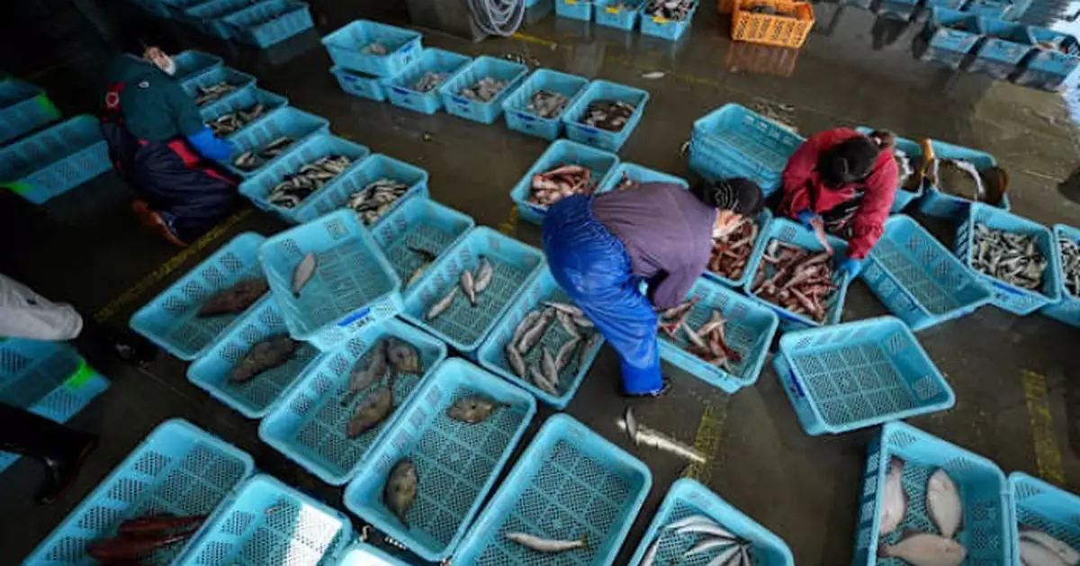 國家海關總署：即日起有條件恢復日本部分地區水產品進口