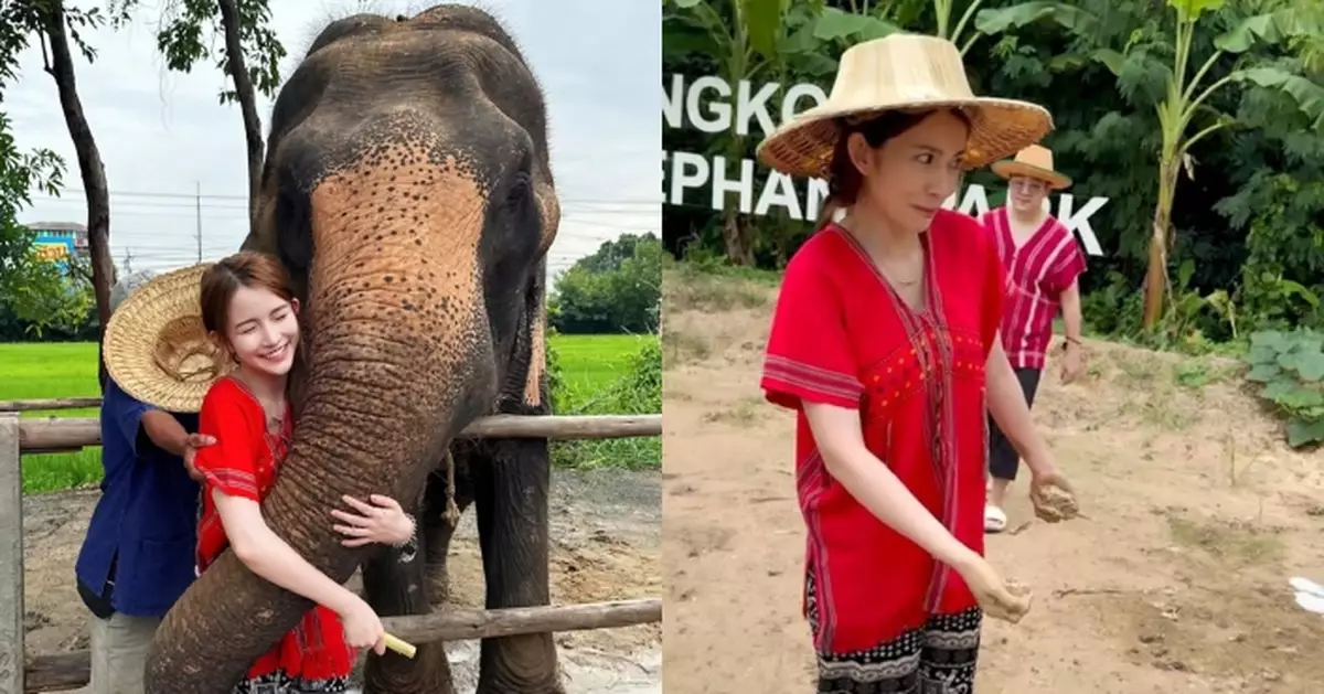 陳若思泰國旅遊參觀保育營 幫大象沖涼見「便便」露驚恐樣好搞笑