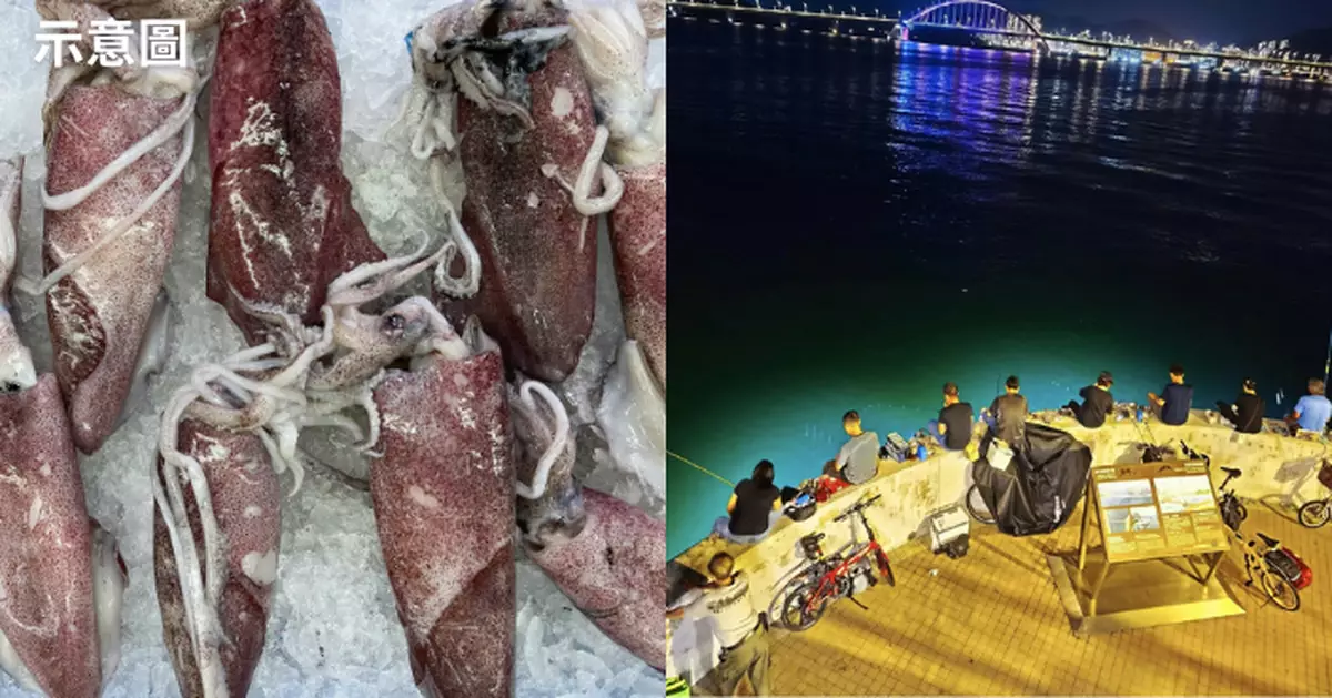 ​​將軍澳掀夜釣熱潮？1分多鐘釣4魷魚 街坊：愈夜愈精彩
