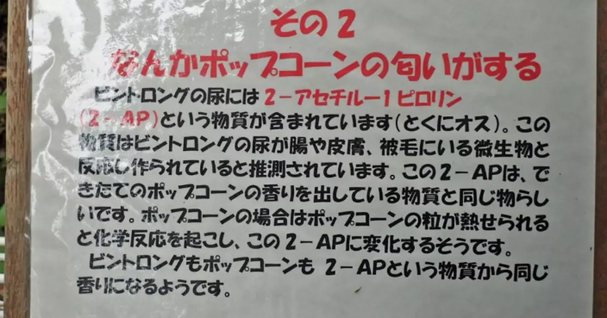 爬蟲館變鬼屋？ 日公園貼告示警告「喧嘩者請離開」 網民贊同：尊重動物習性