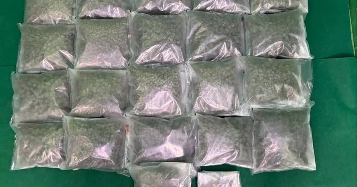 曼谷抵港女旅客寄艙行李涉藏約值220萬元懷疑大麻花　周三提堂