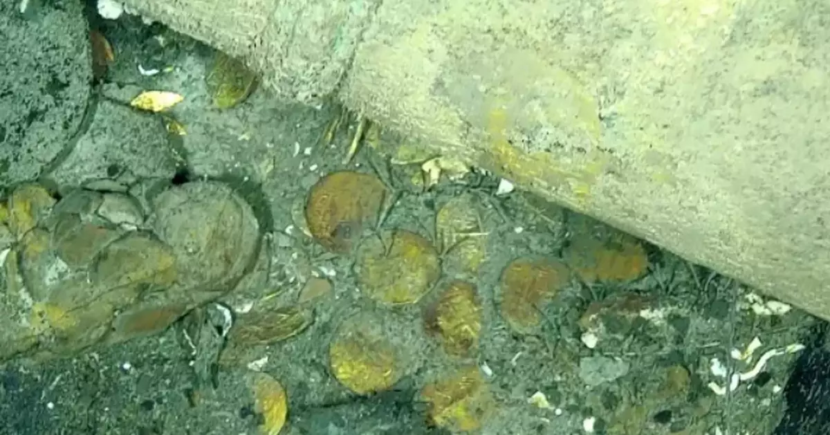 海底驚現設計精緻金幣寶藏 疑屬300年前西班牙「聖荷西號」沉船