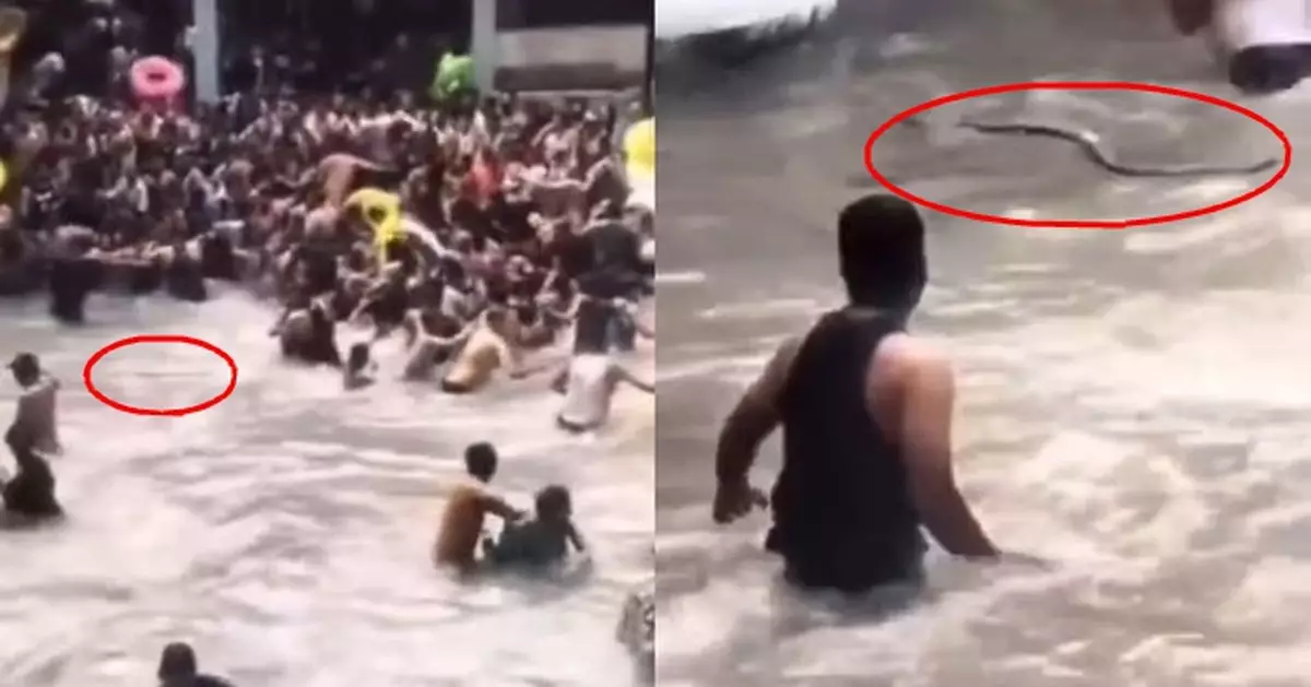 印度著名層疊式瀑布突現「近1米長怪客」 逾百泳客驚叫爭上岸逃命