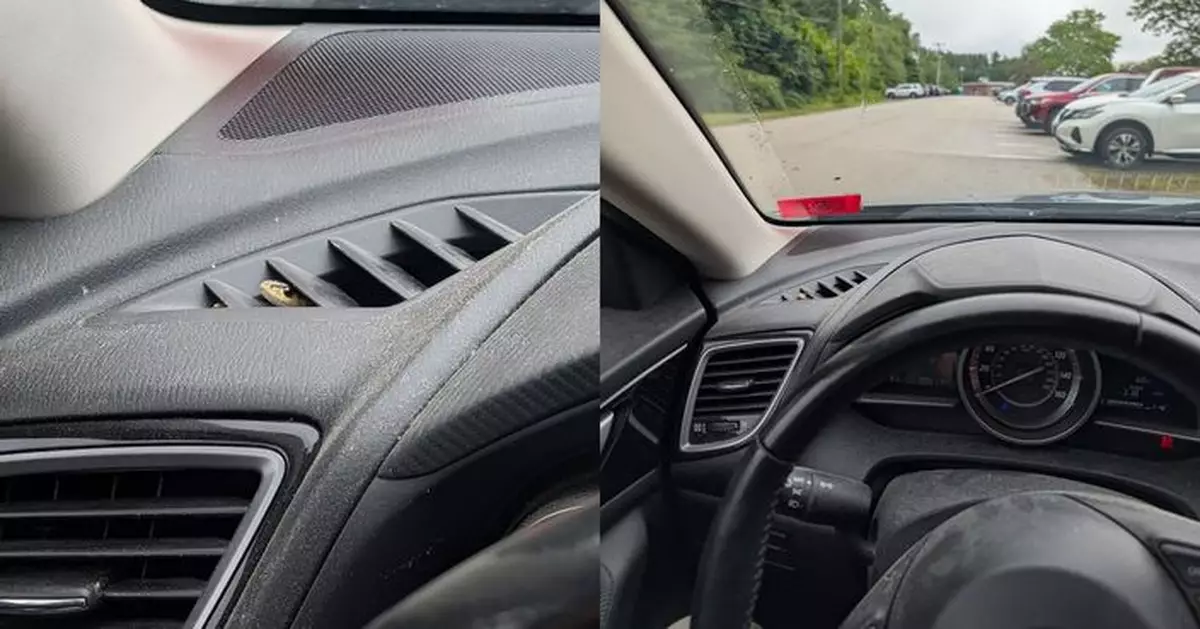 汽車引擎變蛇竇 蛇隻毫無懼色不時探頭挑釁與車主互望
